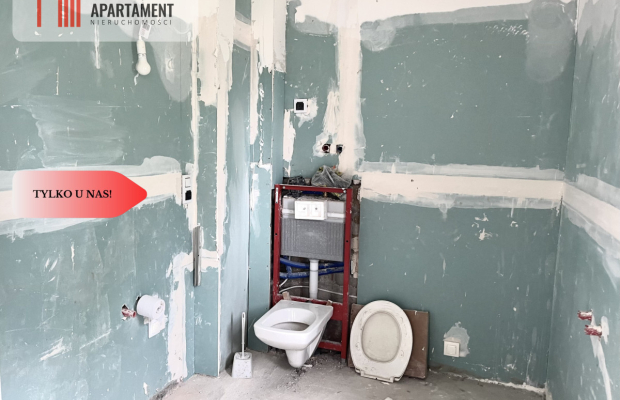 Po kapitalnym remoncie/przestronne/PKP/3 pokoje