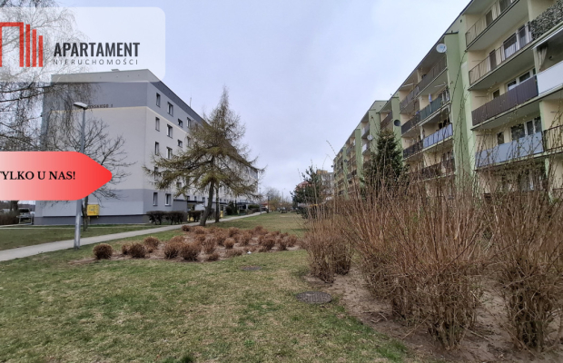 Komfortowe 3 Pokoje 50,8m2 | Spokojna Okolica