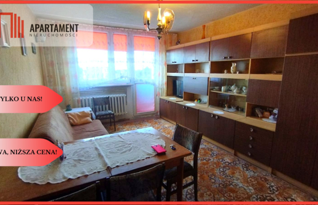 Tylko u nas, Idealne do własnej aranżacji