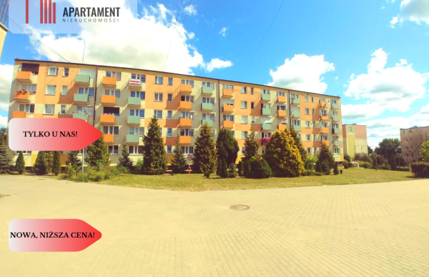 Tylko u nas, Idealne do własnej aranżacji