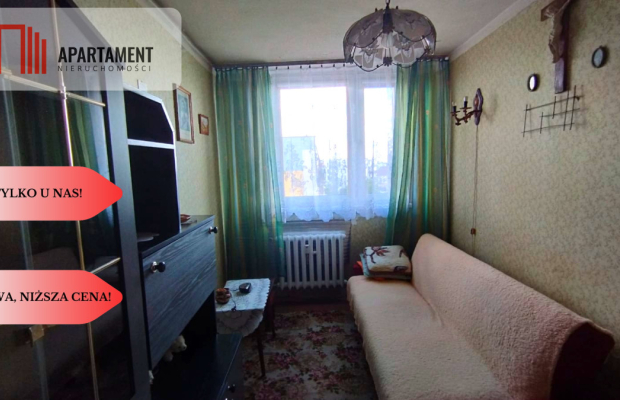 Tylko u nas, Idealne do własnej aranżacji