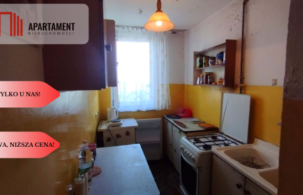 Tylko u nas, Idealne do własnej aranżacji