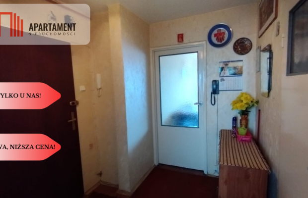 Tylko u nas, Idealne do własnej aranżacji