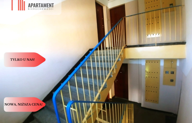 Tylko u nas, Idealne do własnej aranżacji