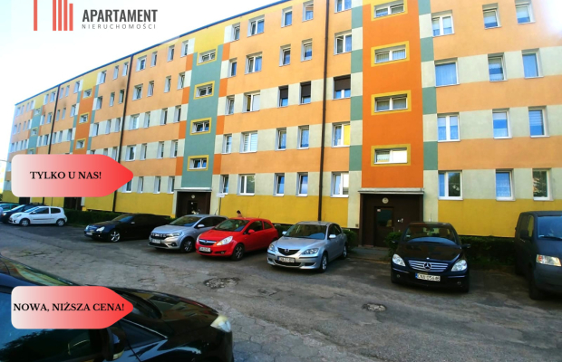 Tylko u nas, Idealne do własnej aranżacji