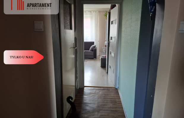 Okazja cenowa! M3 bezczynszowe 15 minut od Legnicy