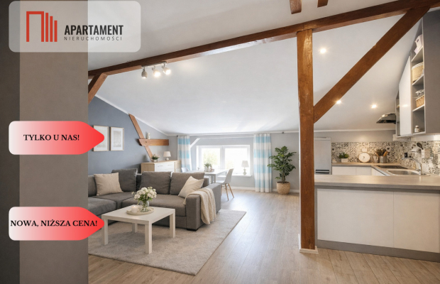 Duże, przestronne mieszkanie z klimatem