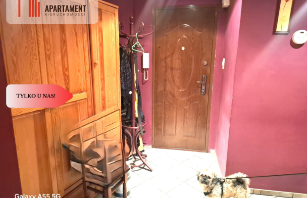 M2 w sercu Legnicy  niskie koszty utrzymania