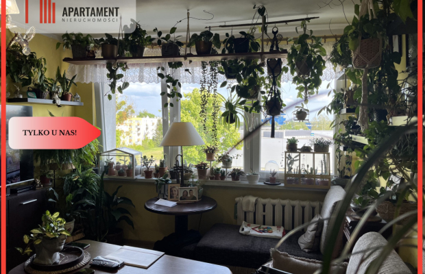 Wałcz,mieszkanie z dobrą energią .