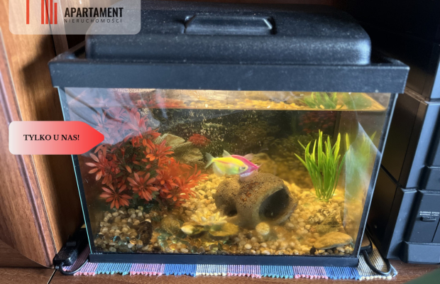 Wałcz,mieszkanie z dobrą energią .