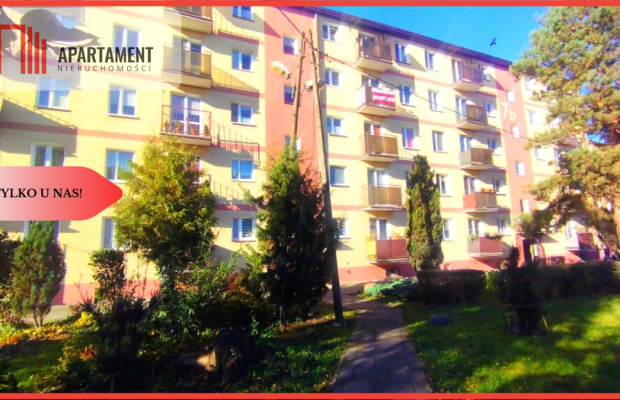 Tylko w naszym biurze 43 metry z potencjałem