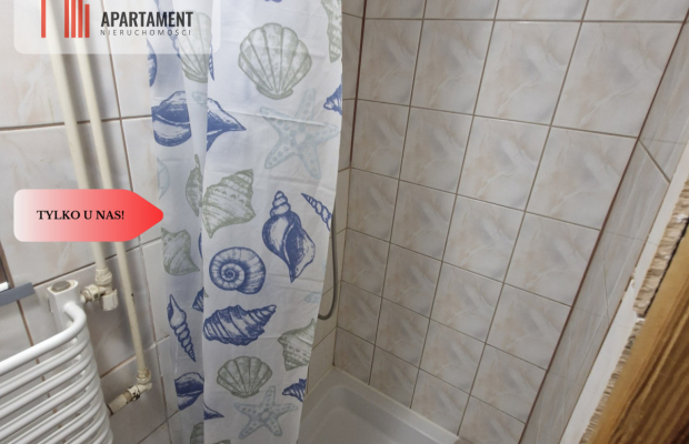 *Kawalerka na poddaszu w Nakle