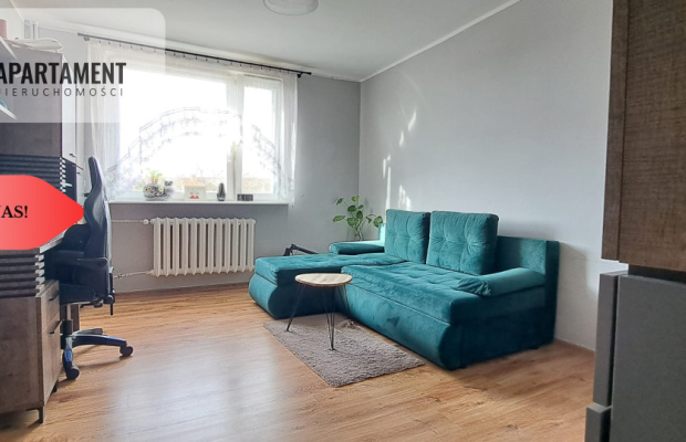 Duże słoneczne mieszkanie, pierwsze piętro