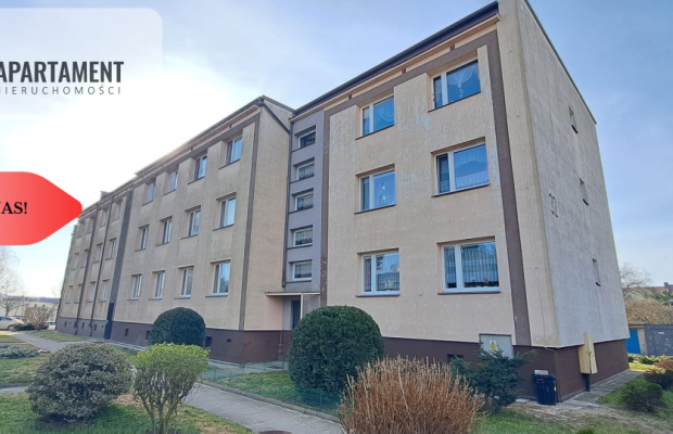 Duże słoneczne mieszkanie, pierwsze piętro