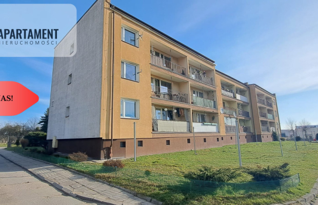 Duże słoneczne mieszkanie, pierwsze piętro