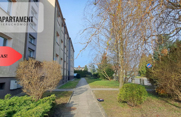 Duże słoneczne mieszkanie, pierwsze piętro