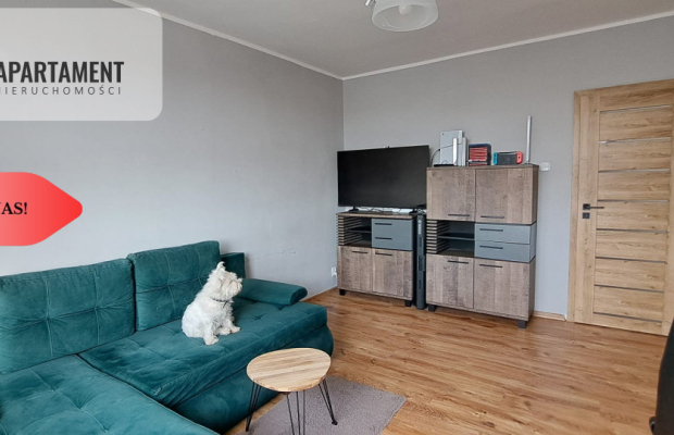 Duże słoneczne mieszkanie, pierwsze piętro