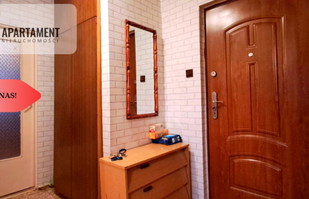 M3 w bloku na parterze - Polanowice