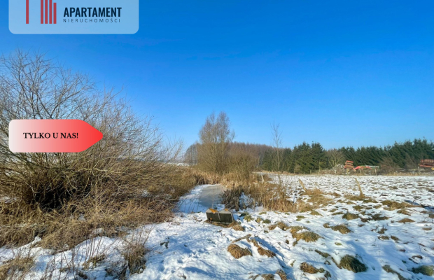 Mieszkanie 2 pokojowe z ogródkiem