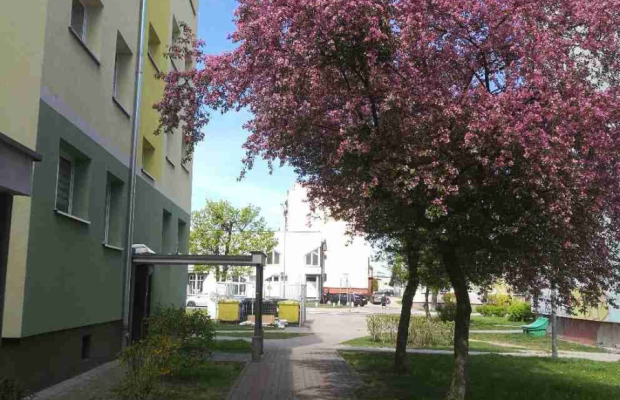 Mieszkanie 55,85 m² – Iława, ul. Skłodowskiej