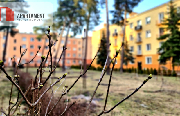 Mieszkanie z balkonem przy parku na Osiedlu Leśnym