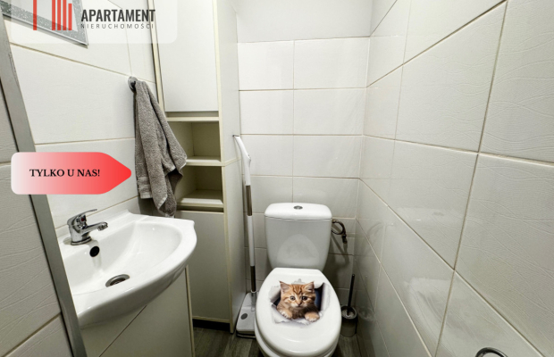 3 Pokojowe Mieszkanie po Remoncie