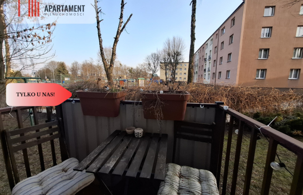 Mieszkanie na parterze 3 pokoje Starogard wynajem