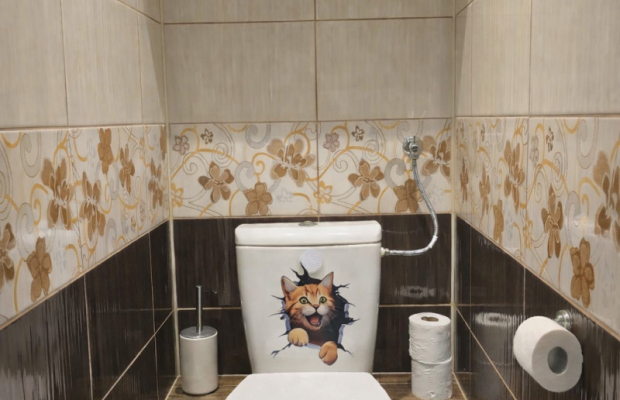 3 pokojowe mieszkanie wyżyny parter