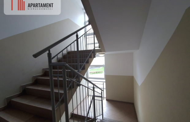 Słoneczne, rozkładowe w pełni wyposażone