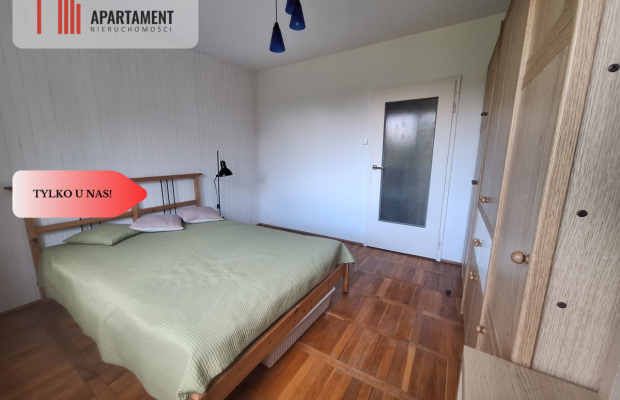 3 pokojowe / blisko centrum / lokalizacja