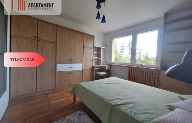 3 pokojowe / blisko centrum / lokalizacja