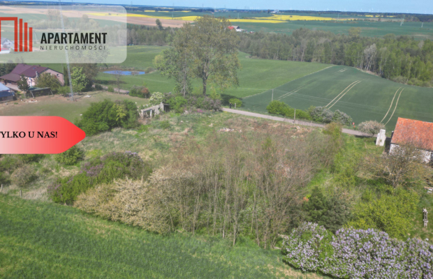 Nowa cena dla inwestora, gmina Gniew