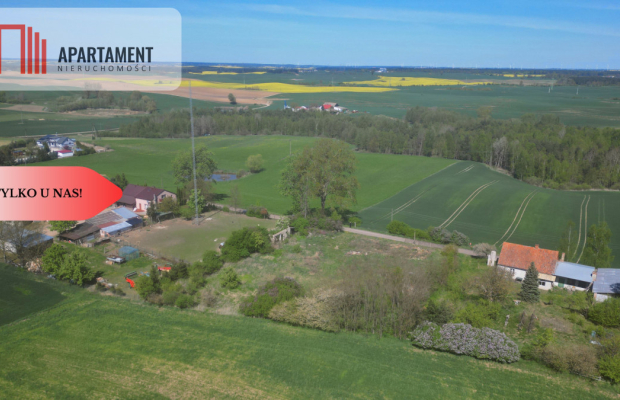 Nowa cena dla inwestora, gmina Gniew