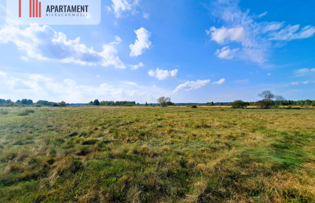 Blisko morza i jeziora wśród przepięknej przyrody