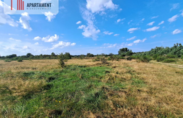 Blisko morza i jeziora wśród przepięknej przyrody