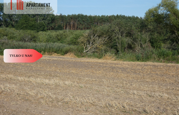 Działka bez sąsiedztwa blisko lasu i jeziora