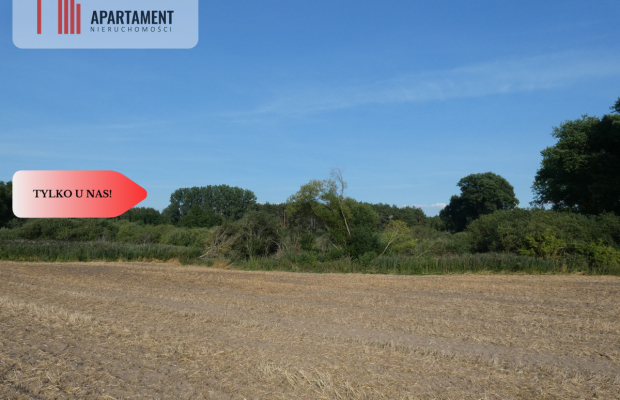 Działka bez sąsiedztwa blisko lasu i jeziora