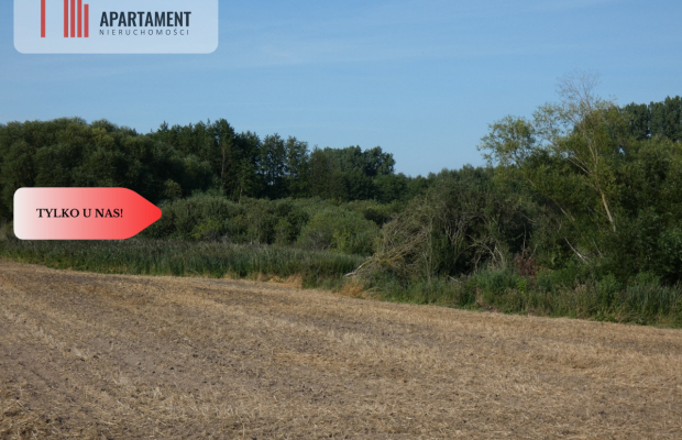 Działka bez sąsiedztwa blisko lasu i jeziora