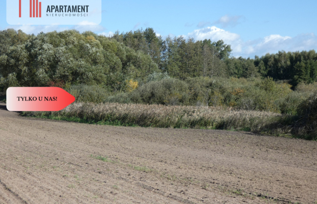 Działka bez sąsiedztwa blisko lasu i jeziora