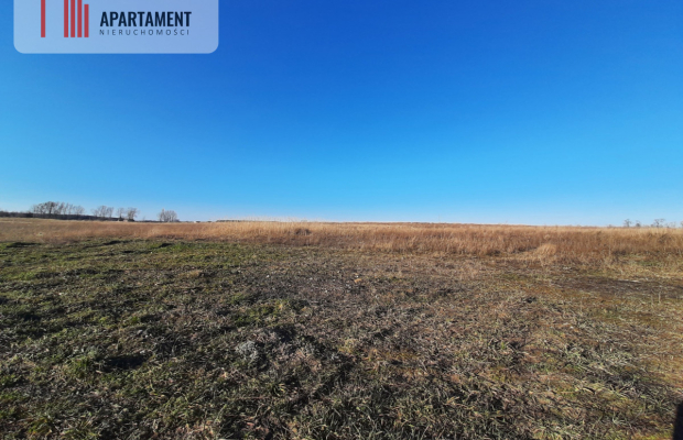 Działki pod budowę domu pod Barcinem! 