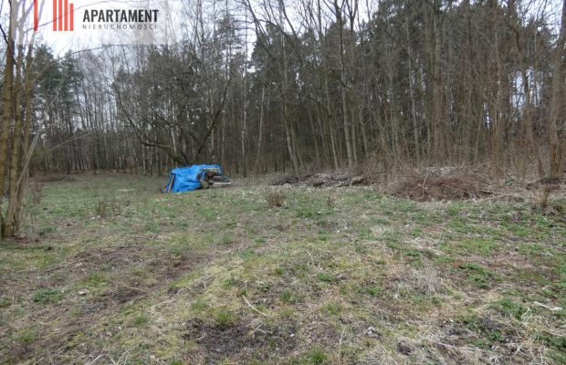 Działka z lasem blisko jeziora