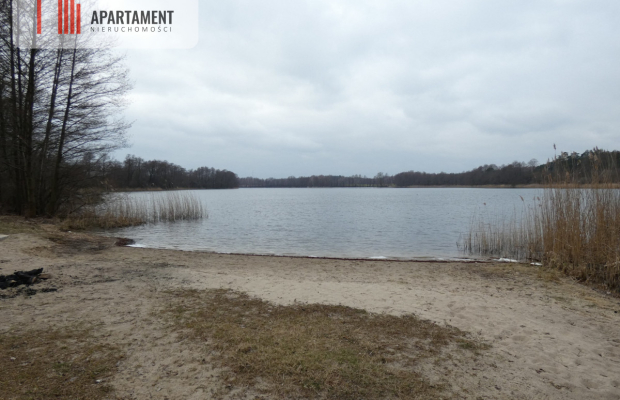 Działka z lasem blisko jeziora