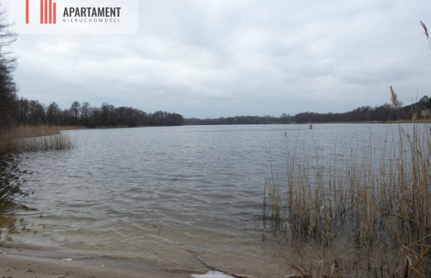 Działka z lasem blisko jeziora