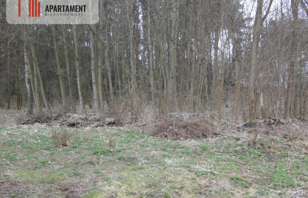 Działka z lasem blisko jeziora