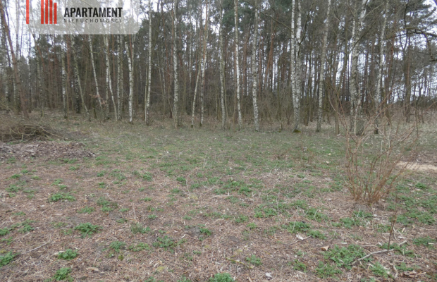 Działka z lasem blisko jeziora
