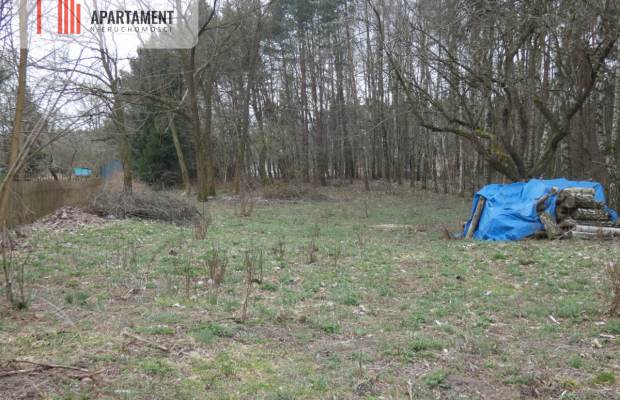 Działka z lasem blisko jeziora