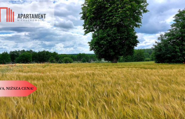 Wybuduj dom -  Krajeński Park Krajobrazowy!