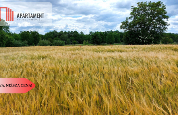 Wybuduj dom -  Krajeński Park Krajobrazowy!