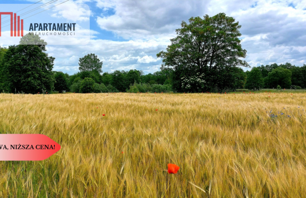 Wybuduj dom -  Krajeński Park Krajobrazowy!