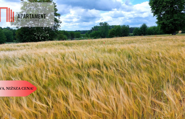 Wybuduj dom -  Krajeński Park Krajobrazowy!